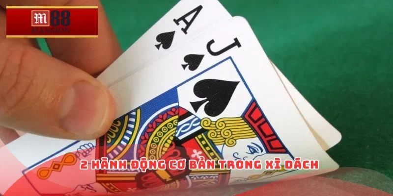 2 hành động cơ bản trong xì dách