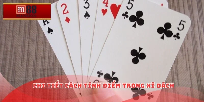 Chi tiết cách tính điểm trong xì dách