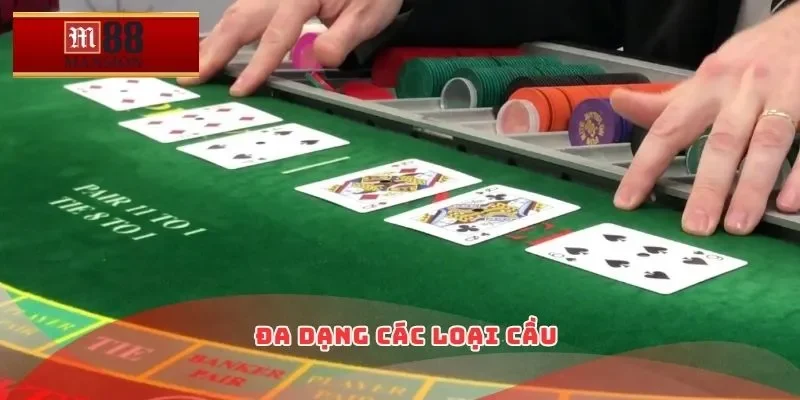 Đa dạng các loại cầu