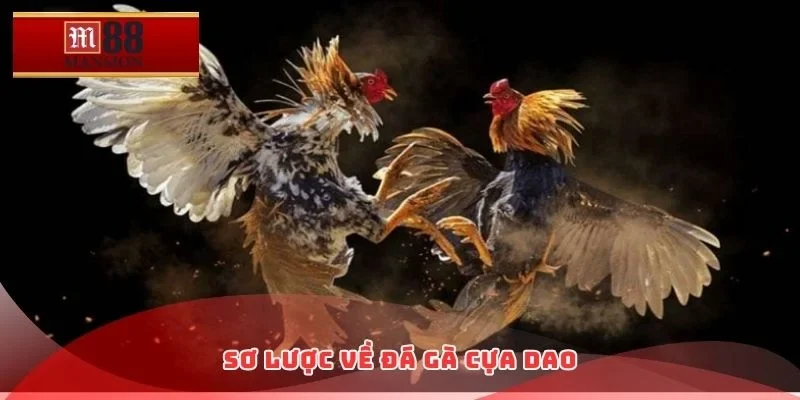 Sơ lược về đá gà cựa dao