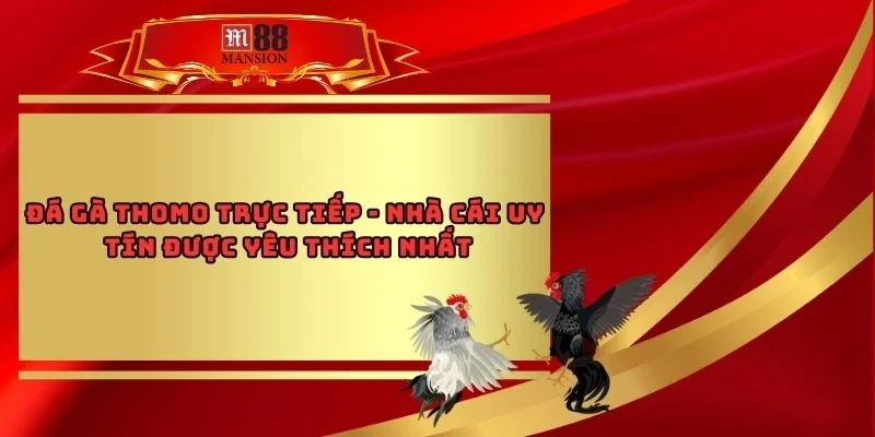 Đá Gà Thomo Trực Tiếp - Nhà Cái Uy Tín Được Yêu Thích Nhất