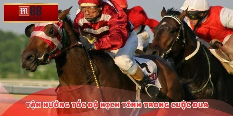 Tận hưởng tốc độ kịch tính trong cuộc đua
