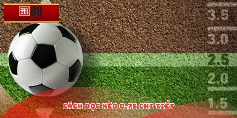 Cách đọc kèo 0.75 chi tiết