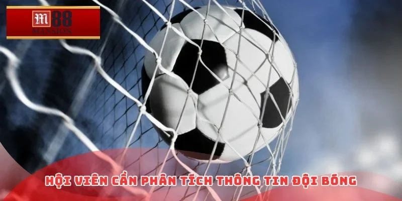 Hội viên cần phân tích thông tin đội bóng