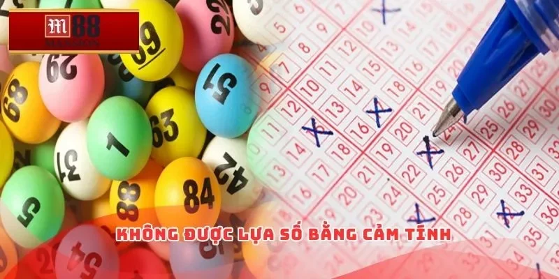 Không được lựa số bằng cảm tính
