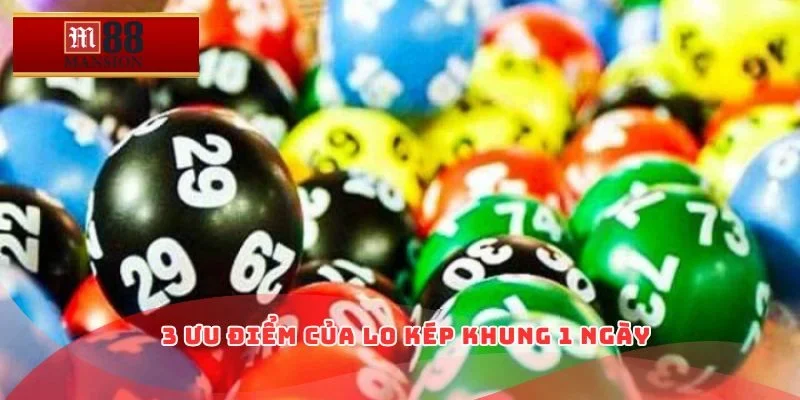 3 ưu điểm của lo kép khung 1 ngày