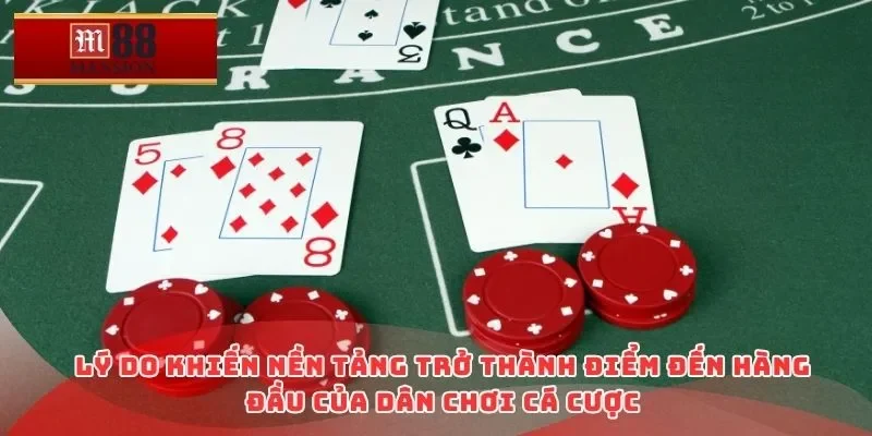 Lý do khiến nền tảng trở thành điểm đến hàng đầu của dân chơi cá cược