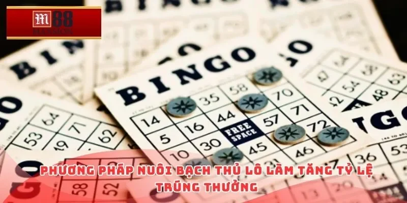 Phương pháp nuôi bạch thủ lô làm tăng tỷ lệ trúng thưởng